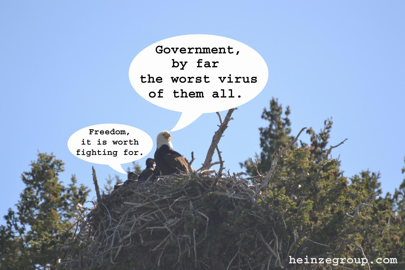 Government Virus cartoon